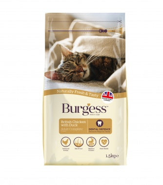 Burgess Cat - Chicken