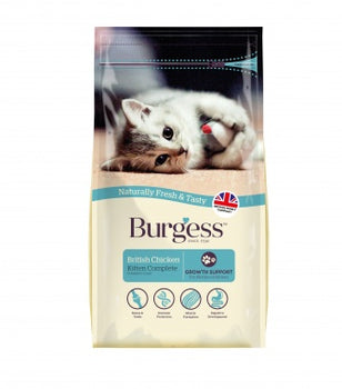 Burgess Cat - Kitten