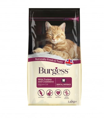 Burgess Cat - Mature